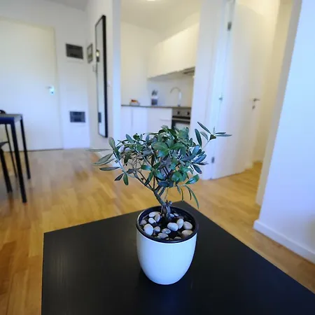 Apartment 58