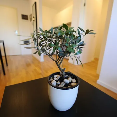 Apartment 58
